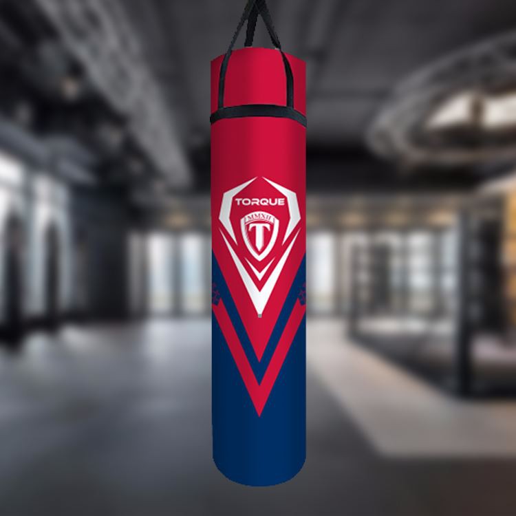 boxing punching bag