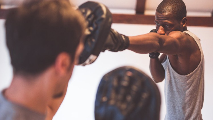 Punching Mitts Punching Mitts