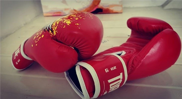 Boxing equipment-glove(001)