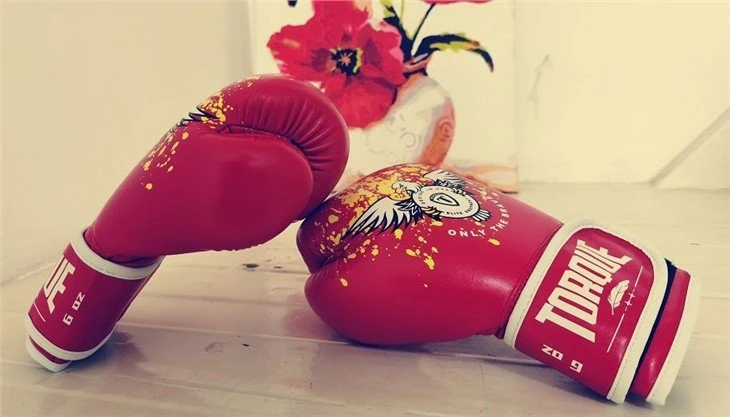 glove for boxing(001)