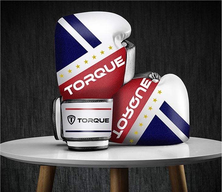 Sparring Gloves