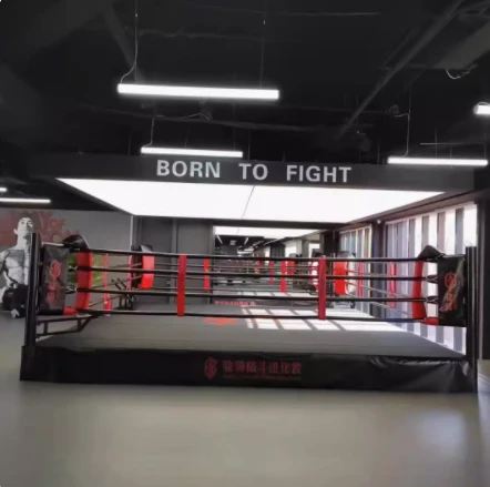 Octagon For MMA