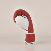 Children's Boxing Gloves For Trainning Or Homework